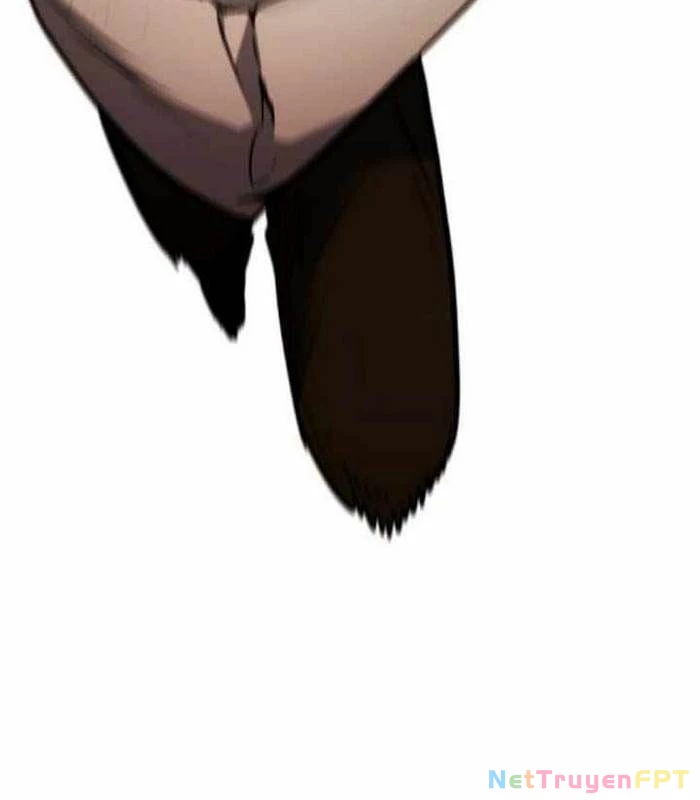 Đa Sắc Ma Pháp Sư Thiên Tài Chapter 28 - Trang 2