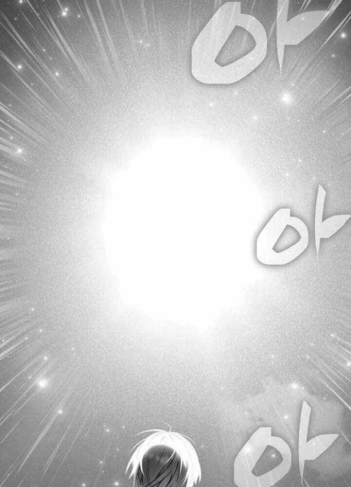 Đa Sắc Ma Pháp Sư Thiên Tài Chapter 29 - Trang 2