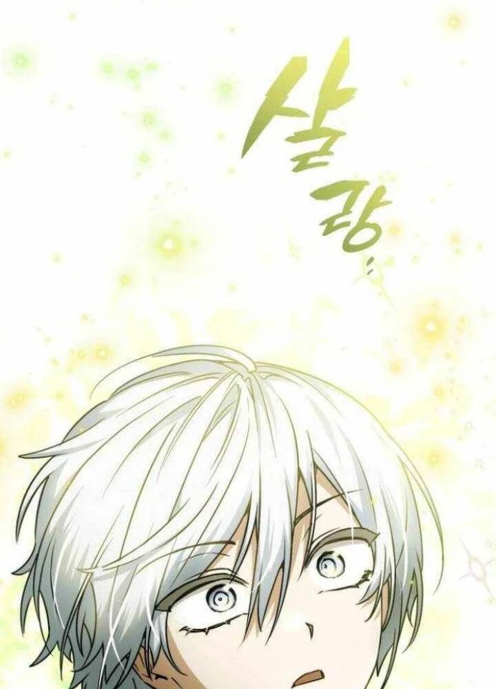 Đa Sắc Ma Pháp Sư Thiên Tài Chapter 29 - Trang 2