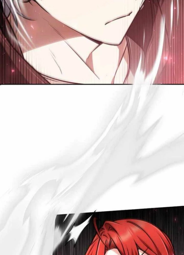 Đa Sắc Ma Pháp Sư Thiên Tài Chapter 33 - Trang 2