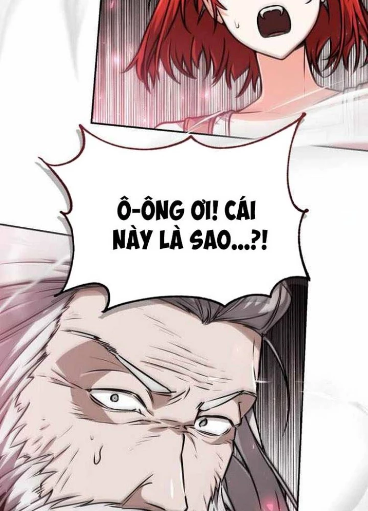 Đa Sắc Ma Pháp Sư Thiên Tài Chapter 33 - Trang 2