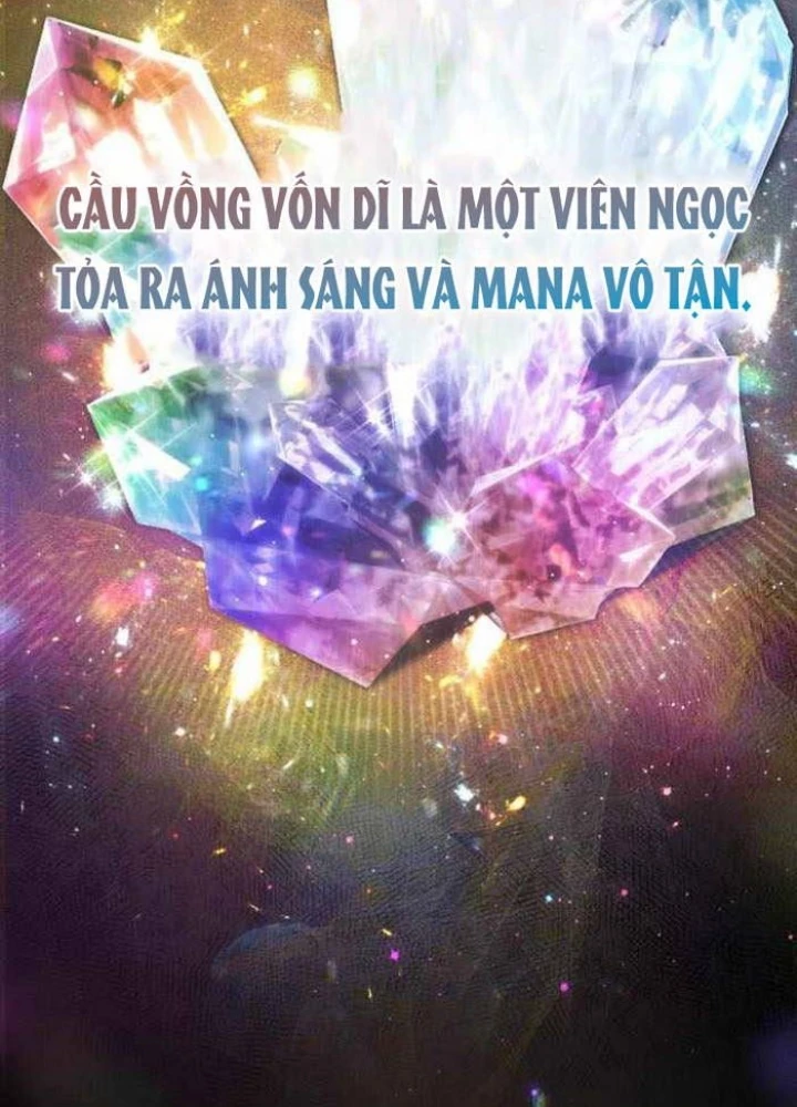 Đa Sắc Ma Pháp Sư Thiên Tài Chapter 33 - Trang 2