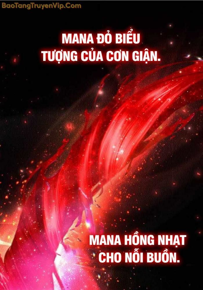 Đa Sắc Ma Pháp Sư Thiên Tài Chapter 35 - Trang 2