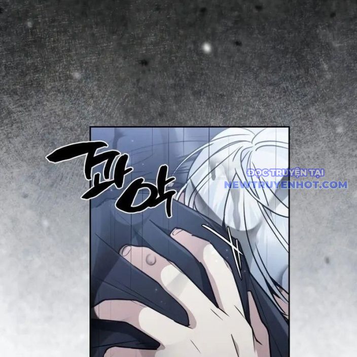 Đa Sắc Ma Pháp Sư Thiên Tài Chapter 6 - Trang 2