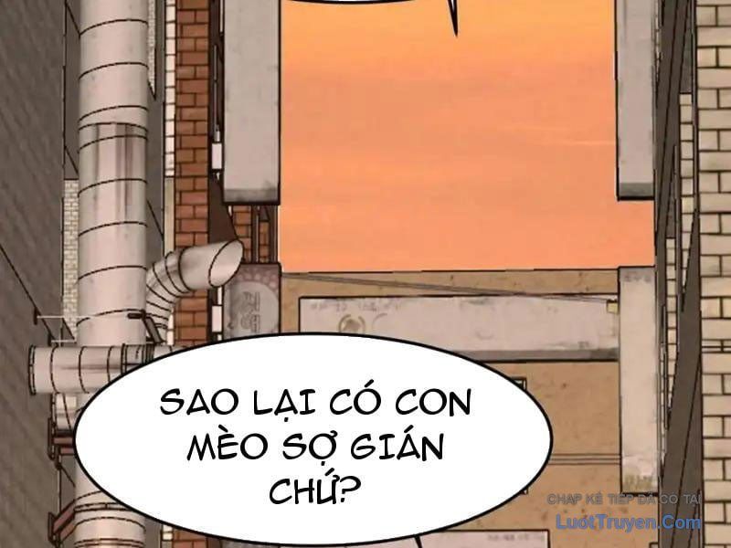 Đặc Chủng Trùng Sinh Về Thời Trung Học Chapter 26 - Trang 2