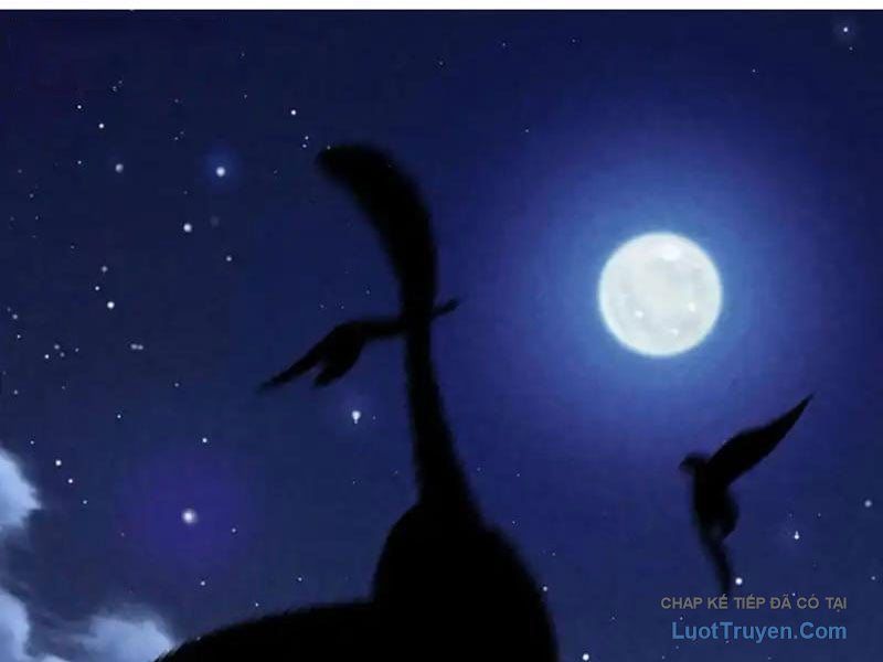 Đặc Chủng Trùng Sinh Về Thời Trung Học Chapter 26 - Trang 2