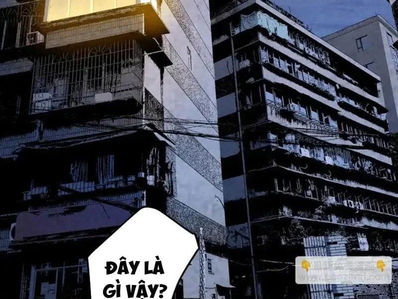 Đặc Chủng Trùng Sinh Về Thời Trung Học Chapter 28 - Trang 2