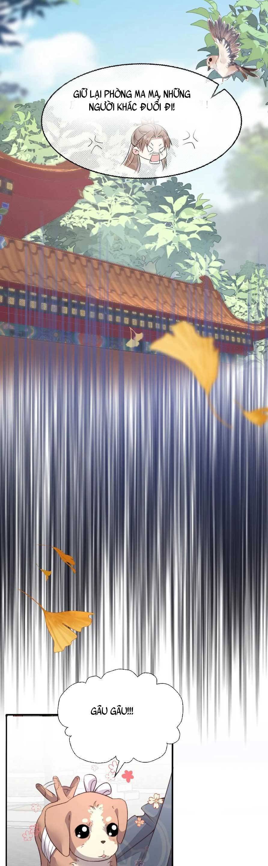 Đặc Công Thần Y Xuyên Không Chapter 46 - Trang 2