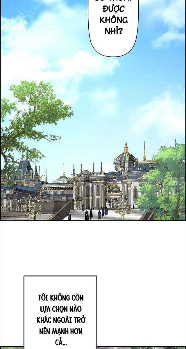 Đặc Tính Tiến Hóa Của Chiêu Hồn Sư Chapter 2 - Trang 2