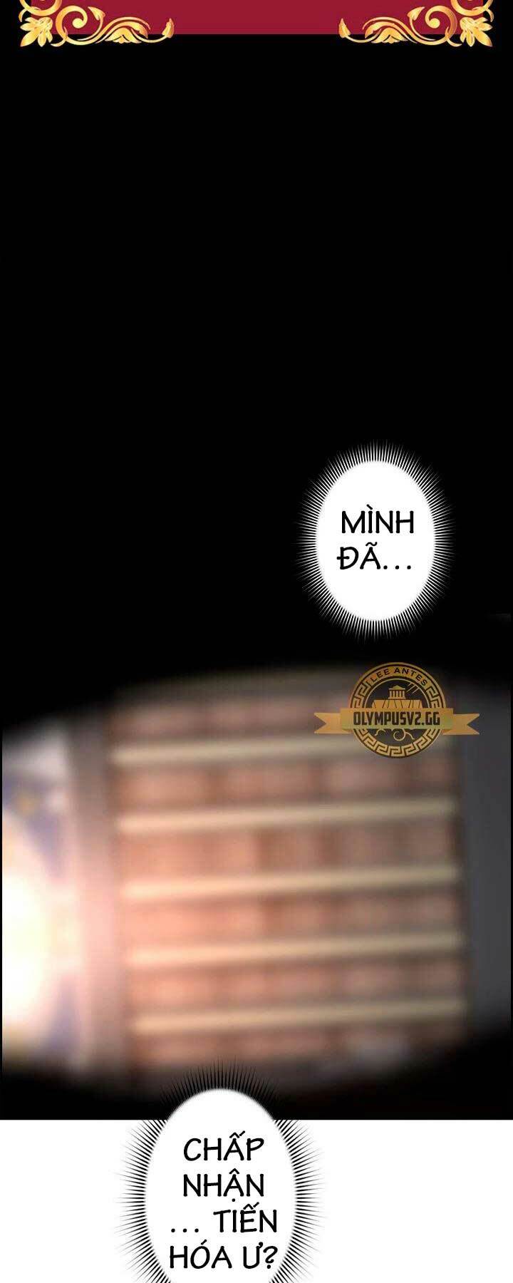 Đặc Tính Tiến Hóa Của Chiêu Hồn Sư Chapter 34 - Trang 2