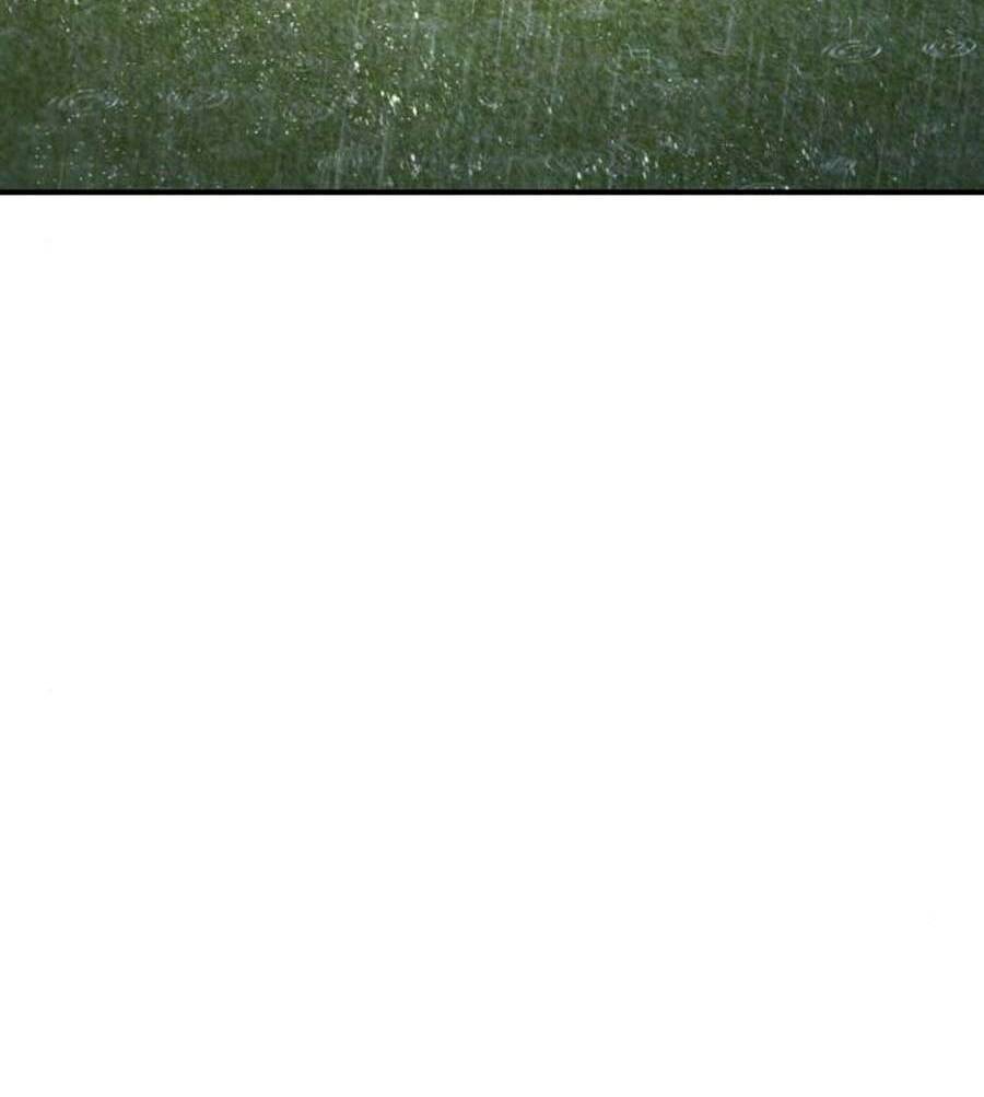 Đặc Vụ Kim Chapter 19 - Trang 2