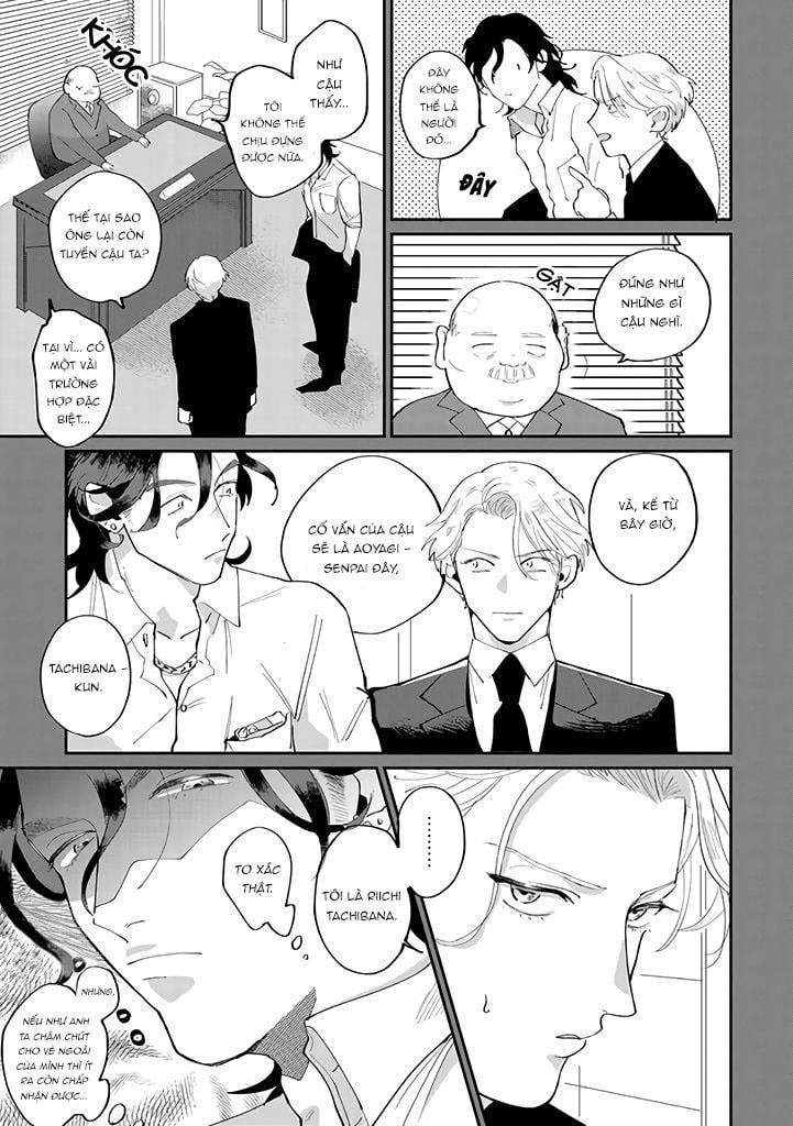 Đặc Vụ Thân Yêu Của Tôi Chapter 1 - Trang 2