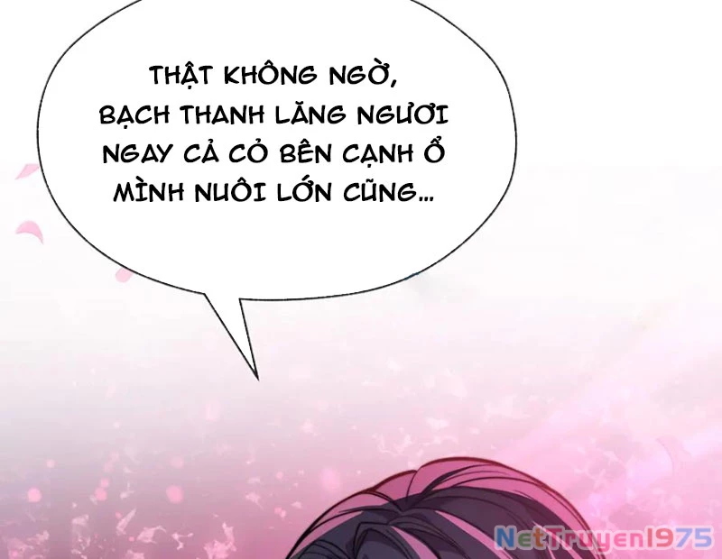 Đại Ái Ma Tôn, Nữ Đồ Đệ Đều Muốn Giết Ta Chapter 70 - Trang 2