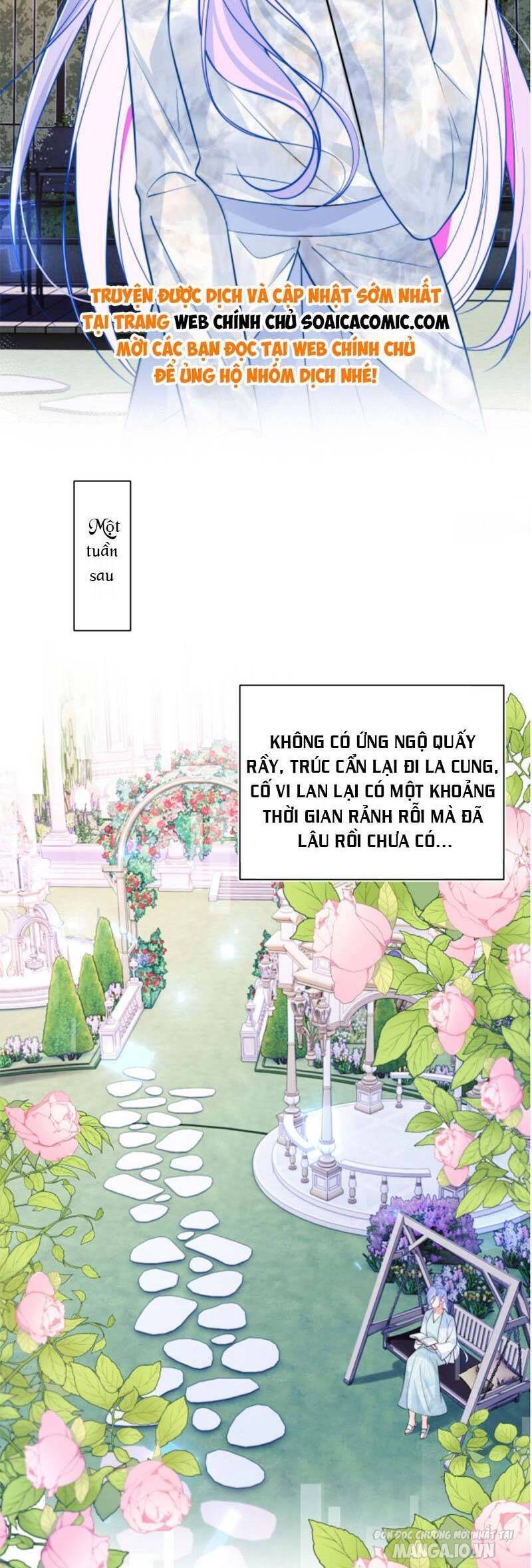 Đại Boss Cao Lãnh Lúc Nào Cũng Quấn Lấy Tôi Chapter 52 - Trang 2