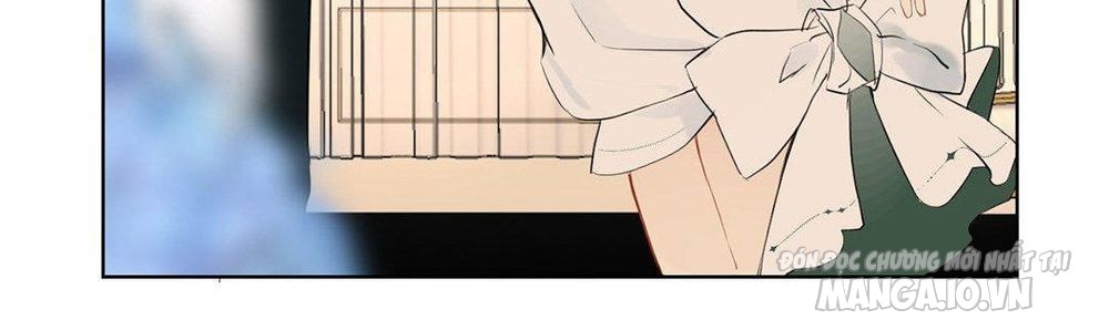 Đại Chiến Công Chúa Chapter 12 - Trang 2