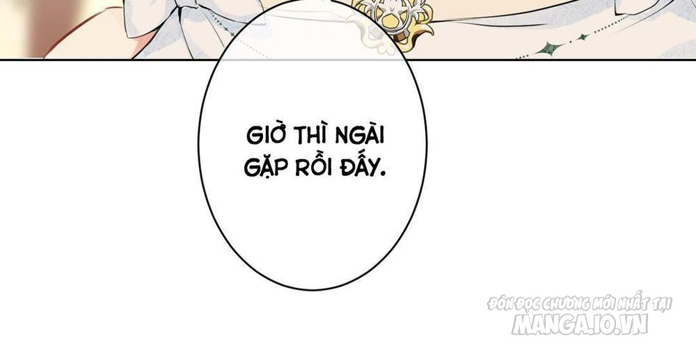 Đại Chiến Công Chúa Chapter 14 - Trang 2