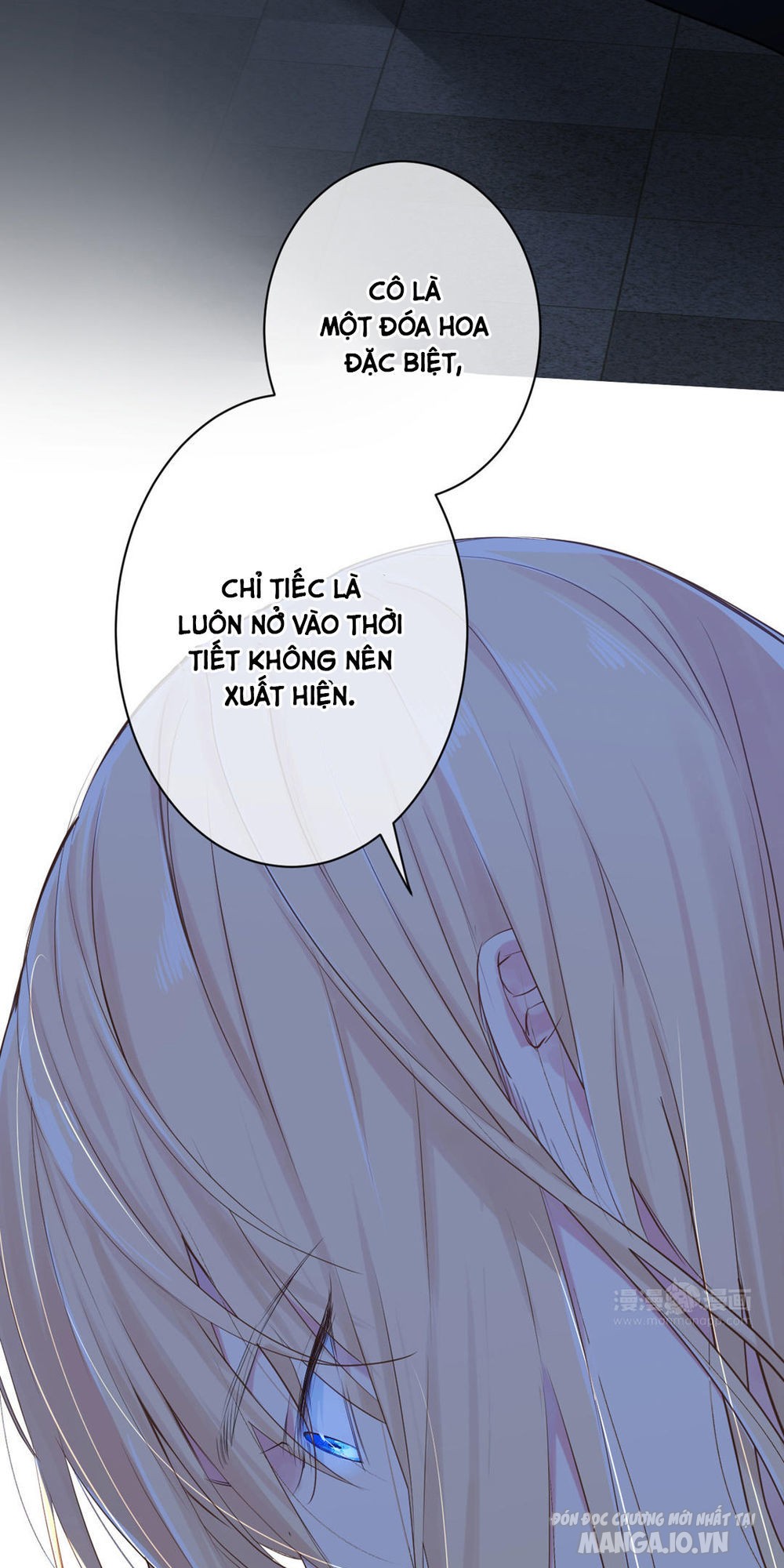 Đại Chiến Công Chúa Chapter 19 - Trang 2