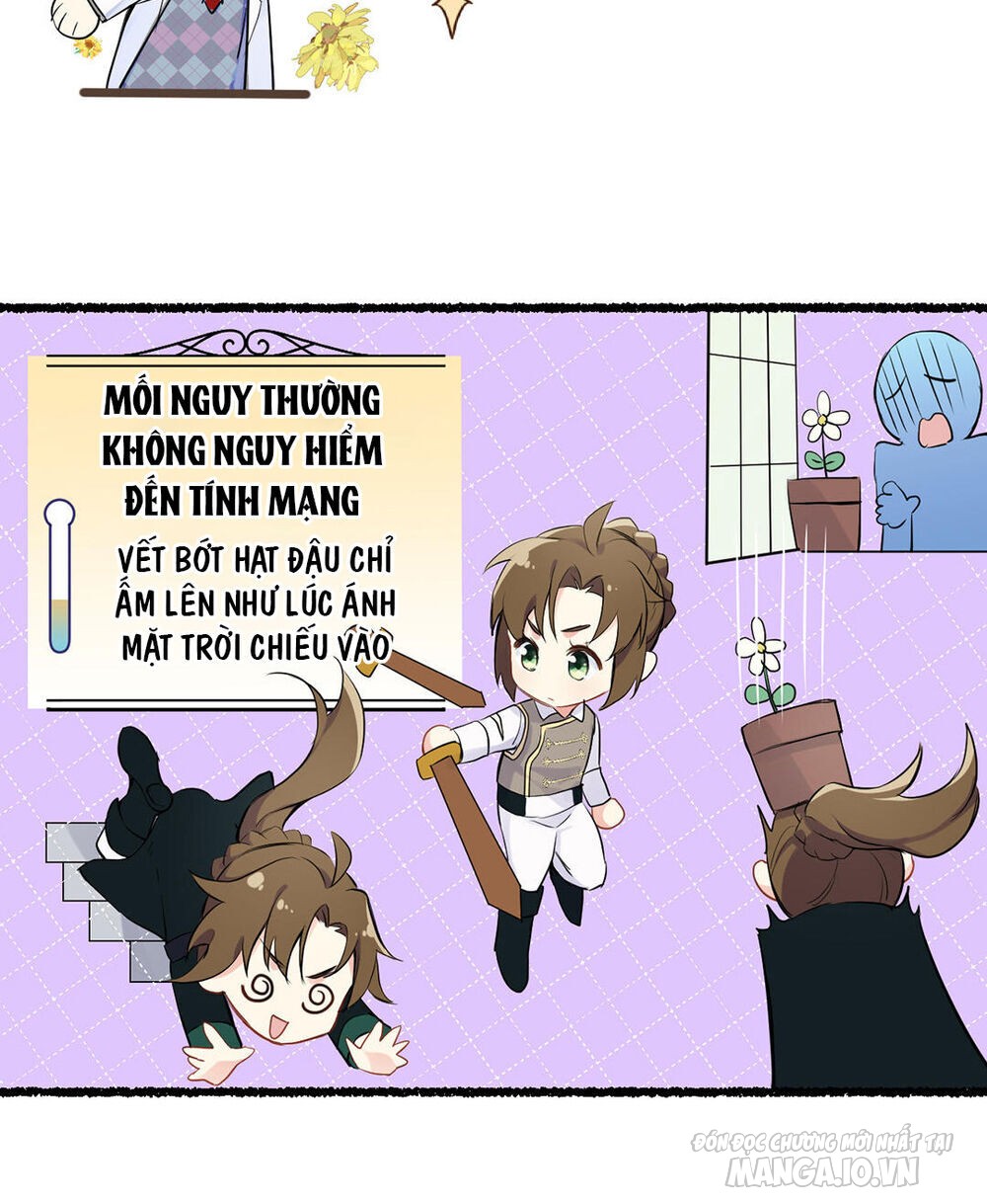 Đại Chiến Công Chúa Chapter 33 - Trang 2