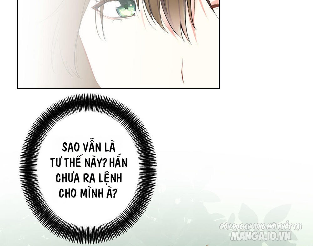 Đại Chiến Công Chúa Chapter 36 - Trang 2