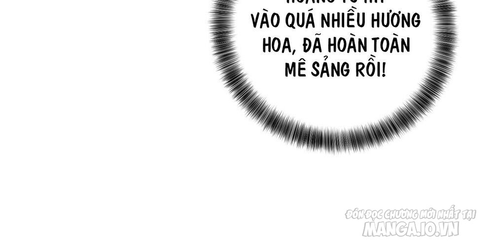 Đại Chiến Công Chúa Chapter 38 - Trang 2