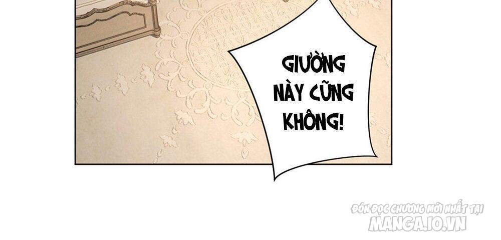 Đại Chiến Công Chúa Chapter 4 - Trang 2