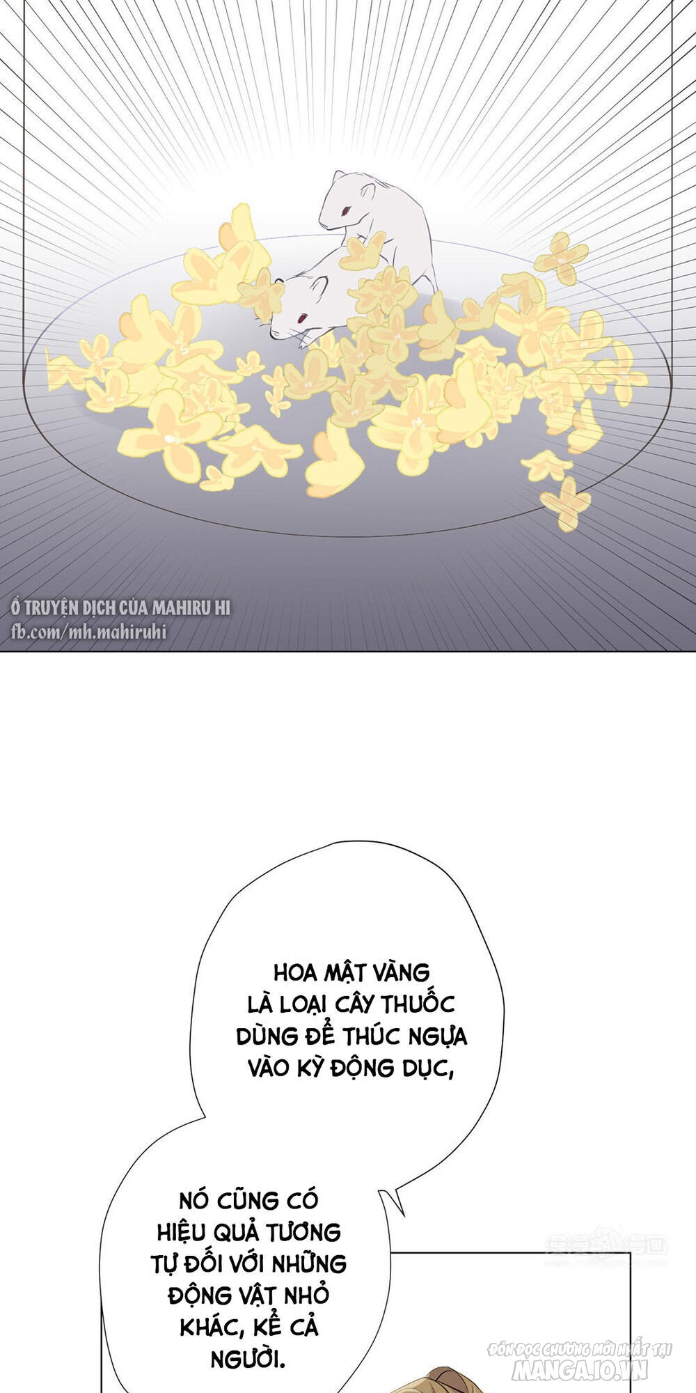 Đại Chiến Công Chúa Chapter 40 - Trang 2