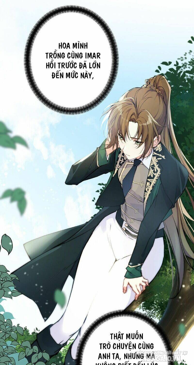 Đại Chiến Công Chúa Chapter 44 - Trang 2