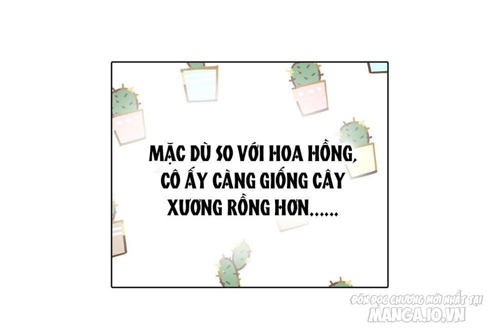 Đại Chiến Công Chúa Chapter 6 - Trang 2