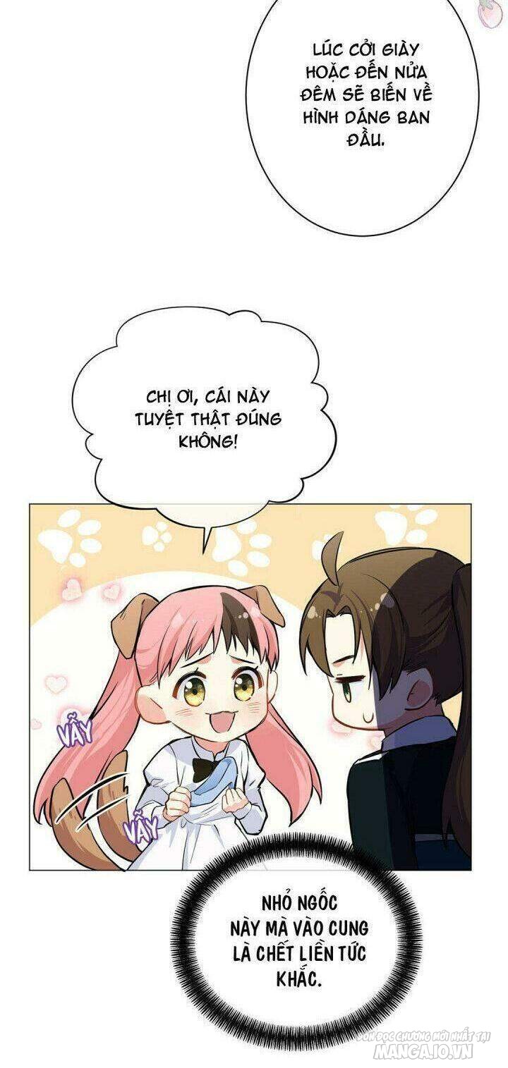 Đại Chiến Công Chúa Chapter 73 - Trang 2