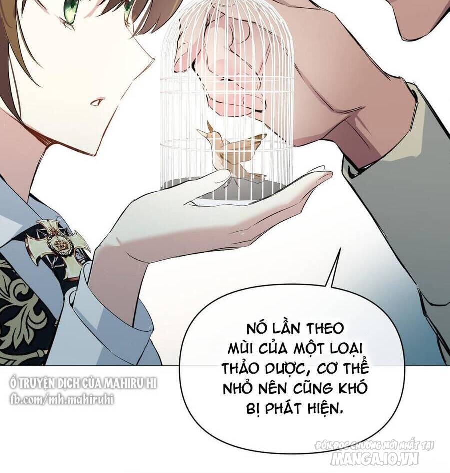 Đại Chiến Công Chúa Chapter 93 - Trang 2