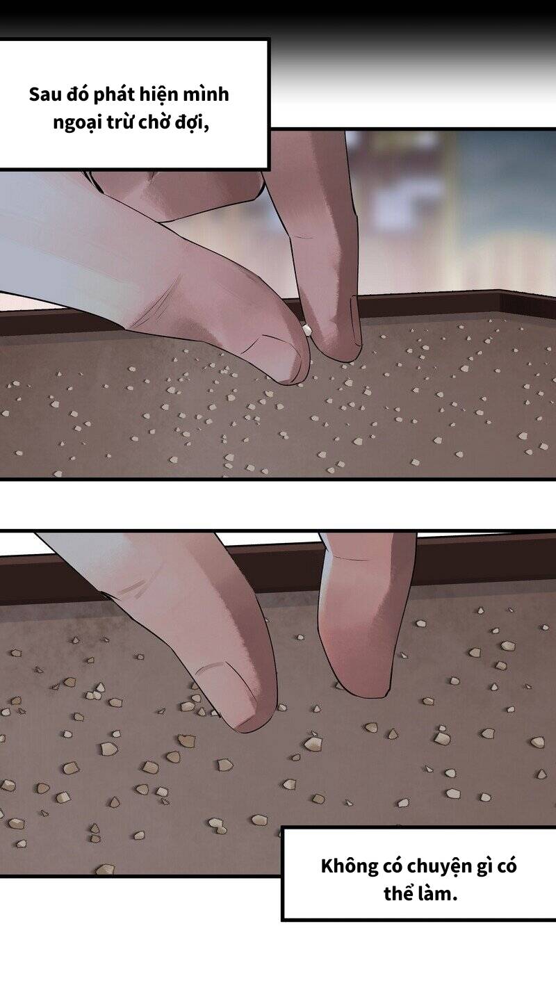 Đại Đạo Triều Thiên Chapter 17 - Trang 2