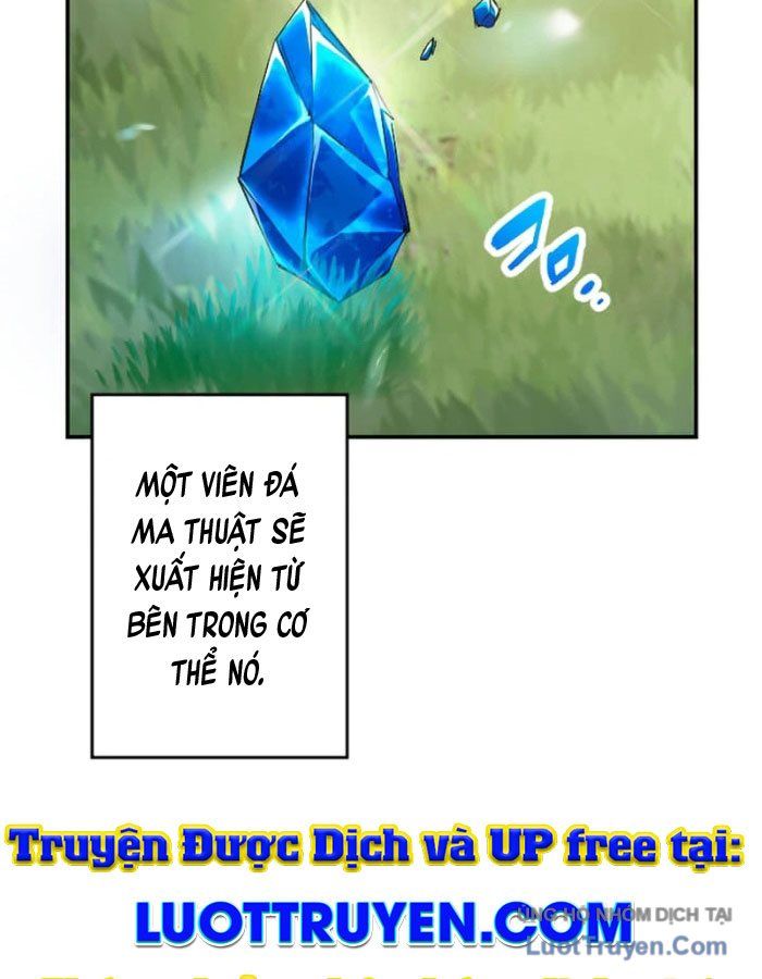Đại Hiền Giả Sở Hữu Trăm Ma Thạch Chapter 1 - Trang 2