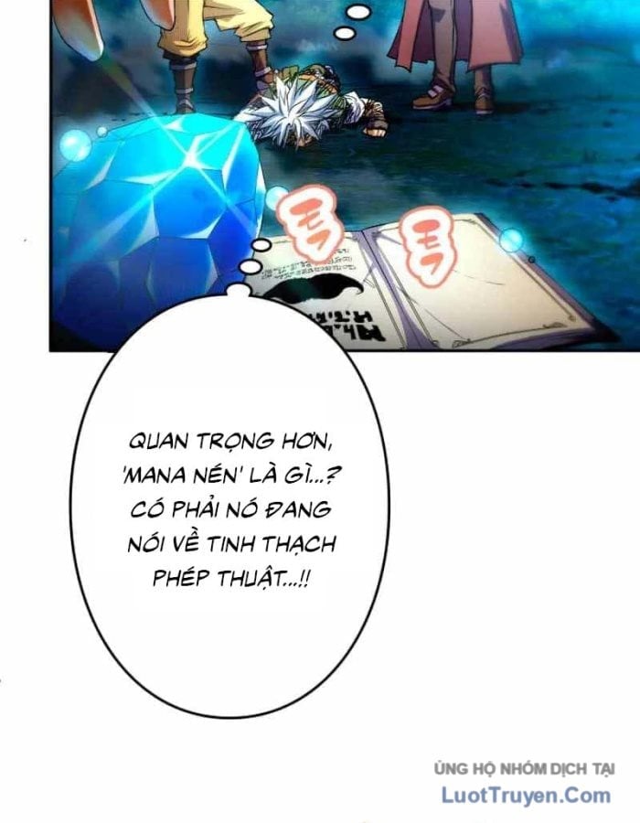 Đại Hiền Giả Sở Hữu Trăm Ma Thạch Chapter 4 - Trang 2