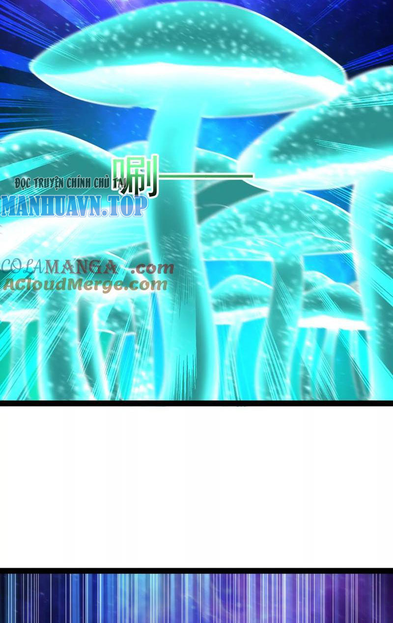 Đại Liên Minh Phản Xuyên Việt Của Bạo Quân Chapter 68 - Trang 2