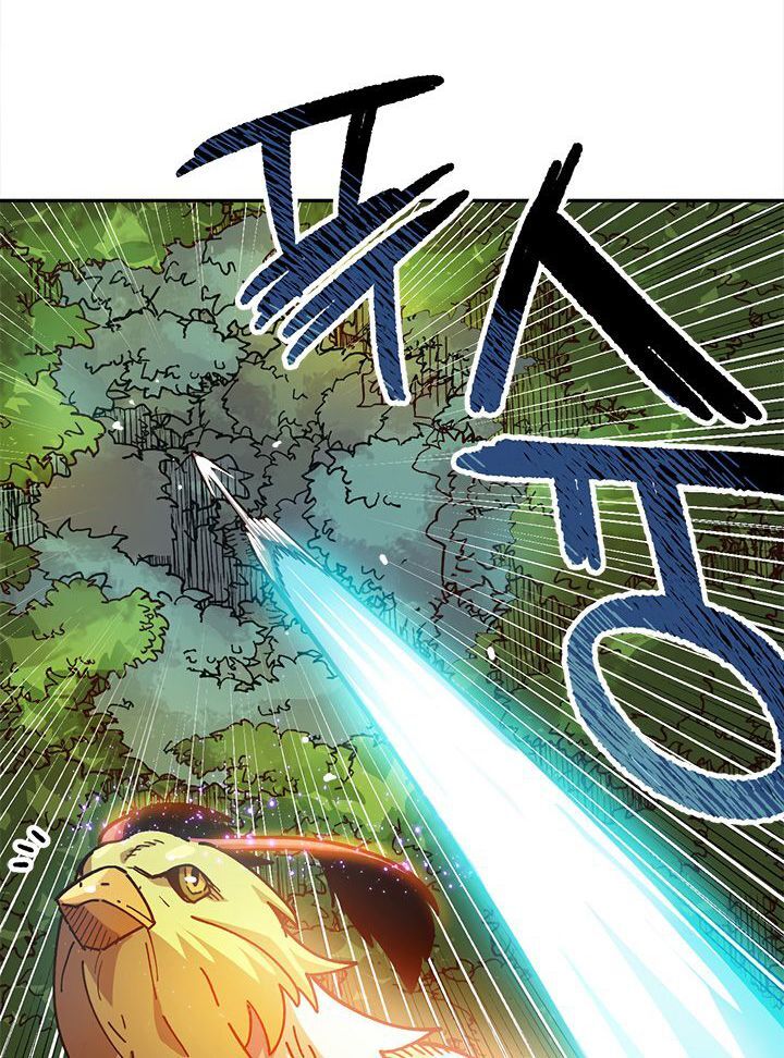 Đại Lục Vô Song Chapter 16 - Trang 2