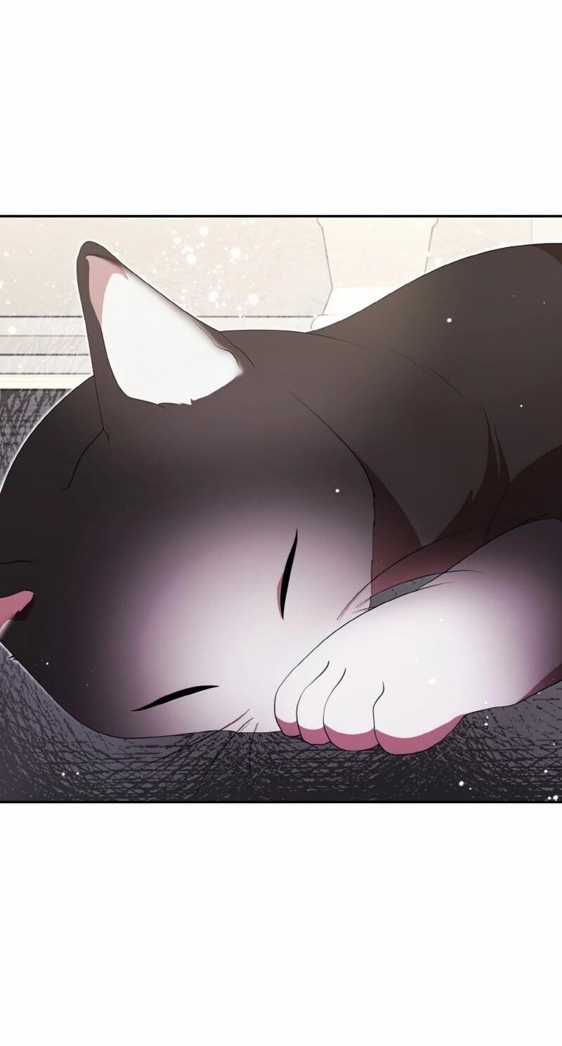 Đại Phản Diện Mà Nam Chính Phải Giết Là Tôi. Chapter 16 - Trang 2