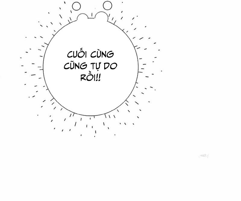 Đại Phản Diện Mà Nam Chính Phải Giết Là Tôi. Chapter 16 - Trang 2