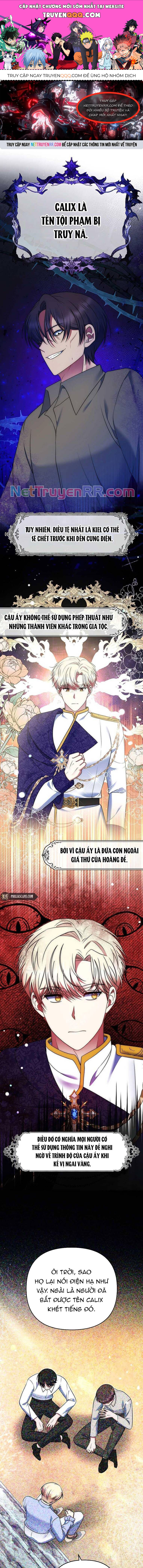 Đại Phản Diện Mà Nam Chính Phải Giết Là Tôi. Chapter 28 - Trang 2
