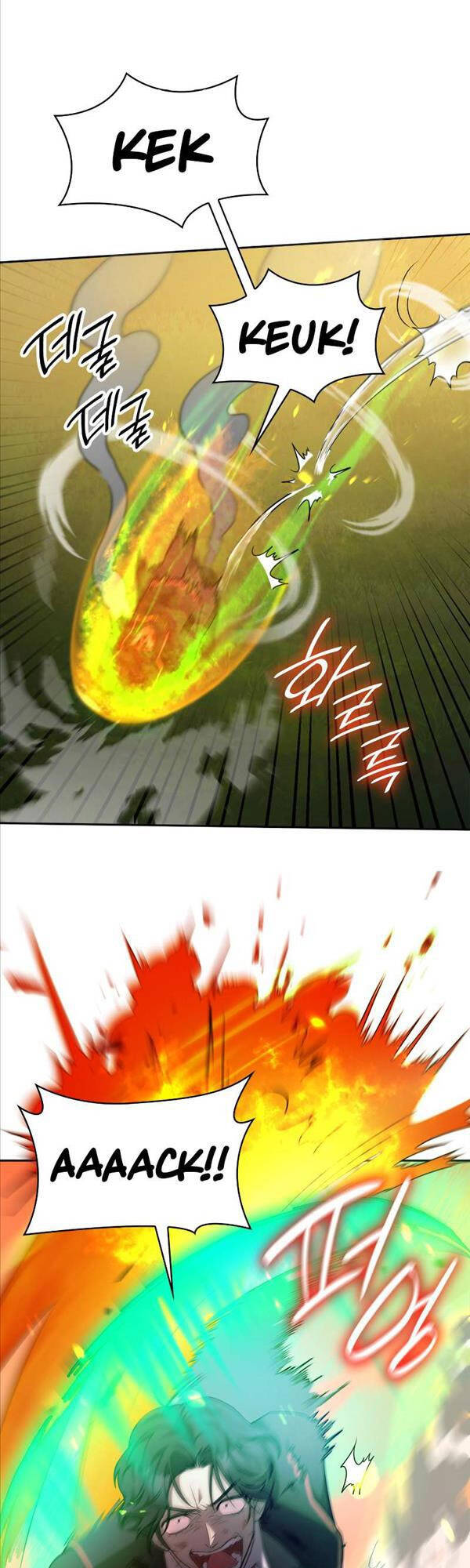 Đại Pháp Sư Toàn Năng Chapter 25 - Trang 2