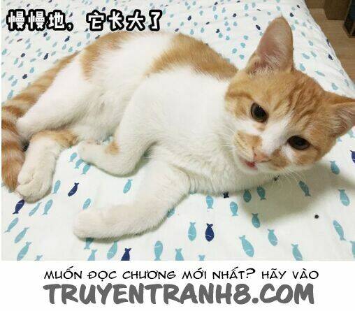 Đại Thánh Và Tiểu Yêu Chapter 7 - Trang 2