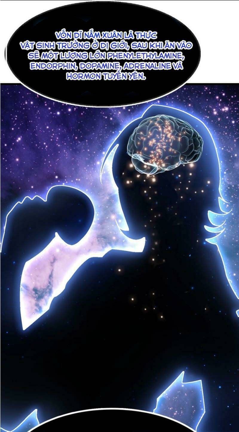 Đại Thiên Tài Bất Khả Chiến Bại Chính Là Ta Chapter 31 - Trang 2