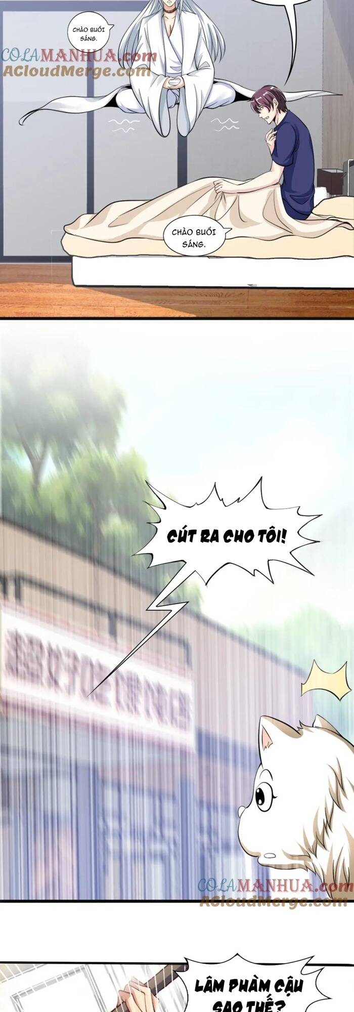 Đại Thiên Tài Bất Khả Chiến Bại Chính Là Ta Chapter 42 - Trang 2