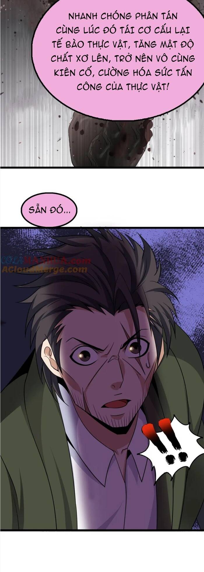 Đại Thiên Tài Bất Khả Chiến Bại Chính Là Ta Chapter 49 - Trang 2