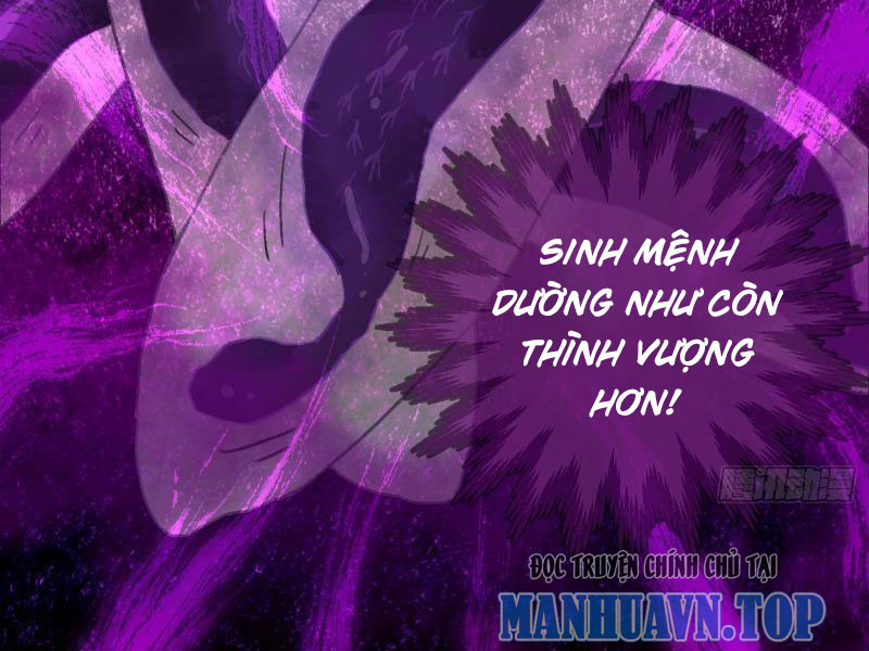 Đại Thừa Kỳ Mới Có Nghịch Tập Hệ Thống Chapter 12 - Trang 2