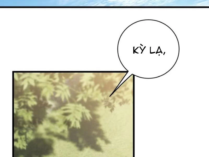 Đại Thừa Kỳ Mới Có Nghịch Tập Hệ Thống Chapter 26 - Trang 2