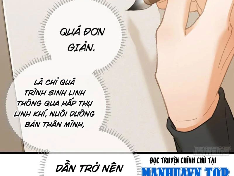 Đại Thừa Kỳ Mới Có Nghịch Tập Hệ Thống Chapter 27 - Trang 2