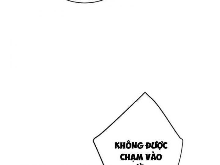 Đại Thừa Kỳ Mới Có Nghịch Tập Hệ Thống Chapter 33 - Trang 2