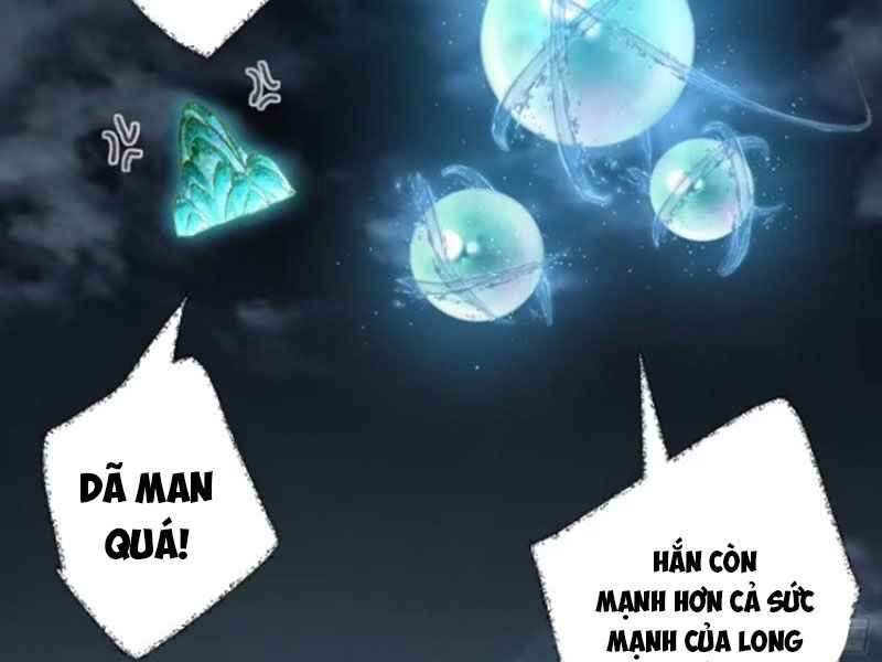 Đại Thừa Kỳ Mới Có Nghịch Tập Hệ Thống Chapter 40 - Trang 2