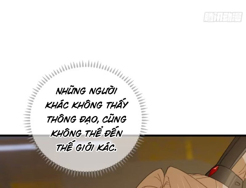 Đại Thừa Kỳ Mới Có Nghịch Tập Hệ Thống Chapter 41 - Trang 2