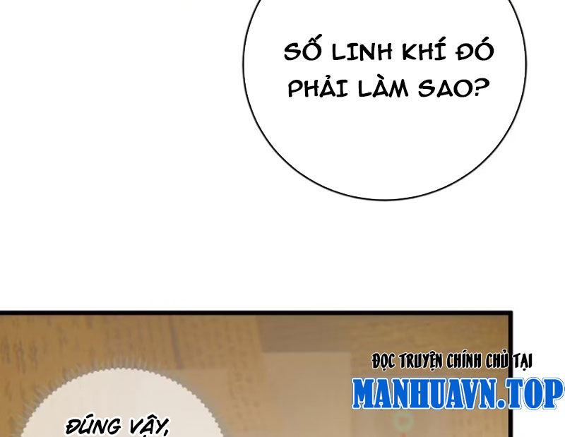 Đại Thừa Kỳ Mới Có Nghịch Tập Hệ Thống Chapter 41 - Trang 2